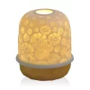 Hot Sale 🔥 Bernardaud Lampion LED Zinnias Light Gold 🌟