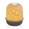 Deals ⭐ Bernardaud Lampias LED Zinnias Light Gold ⌛