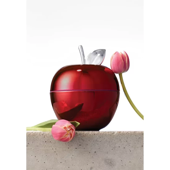Best Pirce 👍 Bernardaud Apple - 150th Anniversary Exclusive Rouge 🥰 - Image 4
