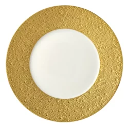 Best reviews of ⌛ Bernardaud Ecume Salad Plate Gold ⌛